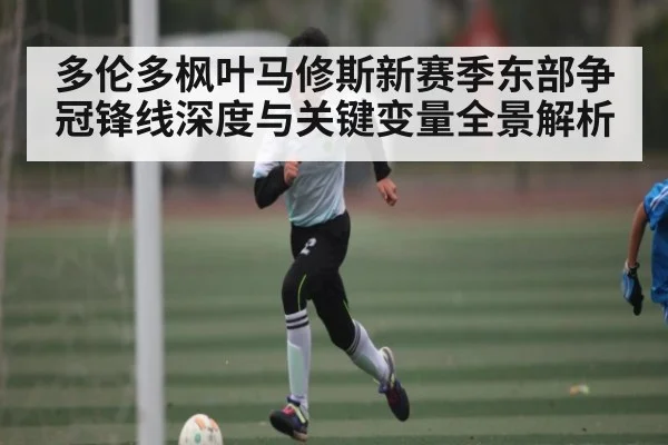多伦多枫叶马修斯新赛季东部争冠锋线深度与关键变量全景解析